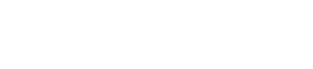 American Alternative Assets
